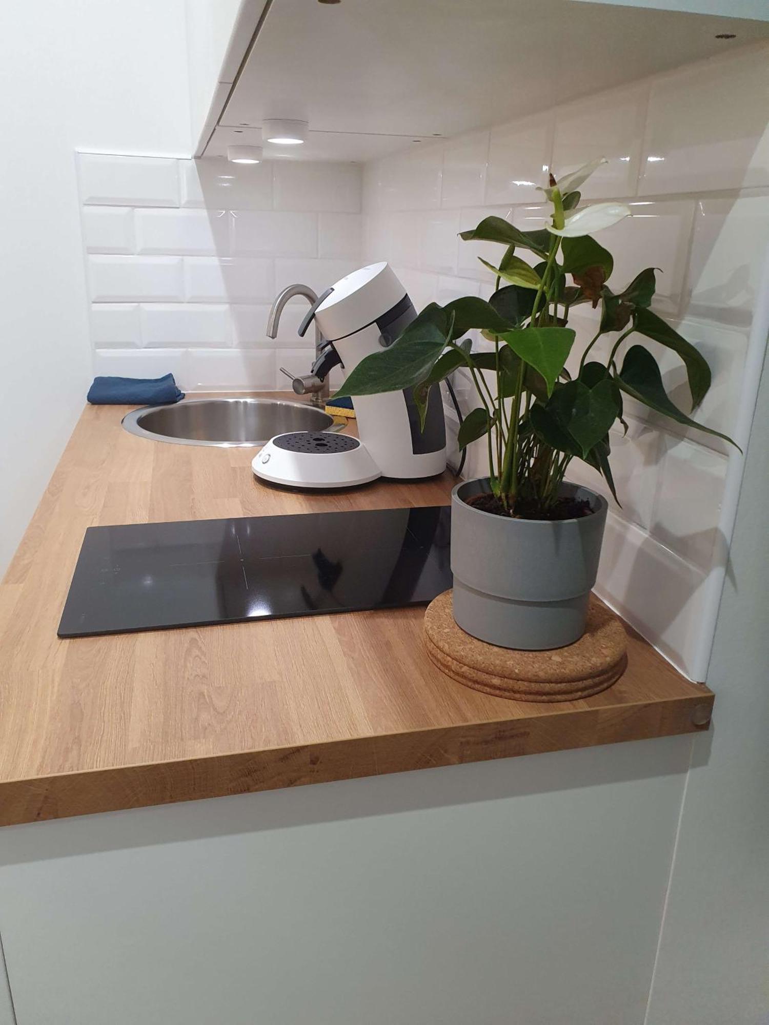 Owl Right - C La Chouette Apartment